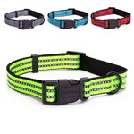 Beeztees Safety Gear Dogini - Hondenhalsband - USB - Blauw - 35x1 cm