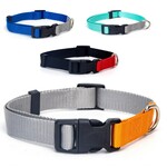 Hondenhalsband Daisy Zwart Lakleer