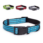 Hondenhalsband Daisy Zwart Lakleer
