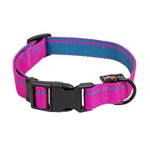 Hondenhalsband Sioux