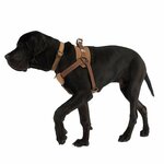 Tailup Verstelbaar Hondenharnas met Handband - M (Geopende verpakking - Uitstekend) - Zwart