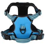 Hondentuig Vario Rapid Teal