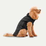 Gooeez Mock Neck Signature Jacket S Black"Black