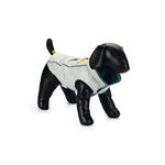 Beeztees Hondenjas Maly - Lichtgrijs/Groen - 24 cm
