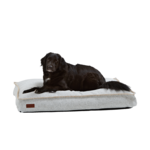 Dog bed