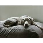 Hondenkussen Rectangle Wolfhound Grey