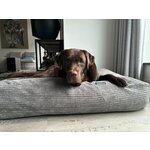 Hondenkussen Rectangle Wolfhound Grey