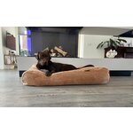 Hondenkussen Rectangle Godiva Brown