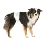 Beeztees Hondenluiers - S - 20 stuks