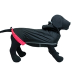 Regenjas Hond Milford Groen