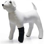 Polar Trex? - set of 2 - Pairs S