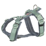 Hondentuig Vario Rapid Teal