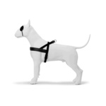 Halti hondentuigje 58-86 cm nylon zwart