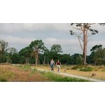 Fietsvakantie rondje Drenthe
