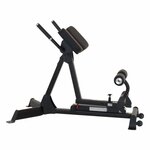 Hammer Ferrum TX4 Krachtstation met hyperextension en legpress