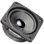 Magnetisch afgeschermde 4 x 7 cm (1,6" x 2,8") fullrange driver