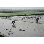 Individuele rondreis Vietnam