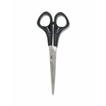 Wahl Tondeuse Chromepro