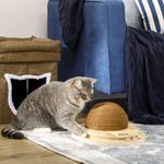 PawHut interactief kattenspeelgoed, 2-in-1 krabspeelgoed, duurzaam grenenhout, stimuleert spelgedrag, ideaal voor kittens en katten | Aosom.nl