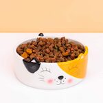 Imby Pet Food Kattenbrokken insecteneiwitten