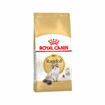 Royal Canin Ragdoll Adult - 2 kg