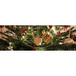 Christmas Cruise Newcastle