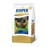 Beeztees kippen voertoren grijs 30x30x36cm kip