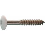 Kleurkopschroef rvs wit ral9010 4,8x25 t20