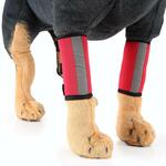 Kruuse Rehab Kniebeschermer - XXL - Links