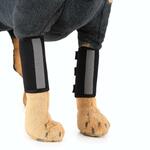 Kruuse Rehab Kniebeschermer - XXXS - Links