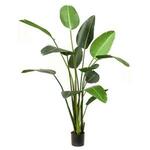 Kunstplant Anthurium cream
