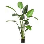Kunstplant Sansevieria M
