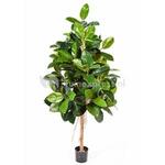Kunstplant Coffea arabica M
