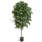 Kunstplant Schefflera arboricola M