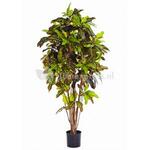 Kunstplant Coffea arabica L
