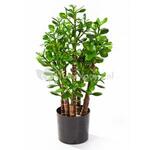 Kunstplant Calathea red M