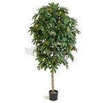 Kunstplant Ficus lyrata L
