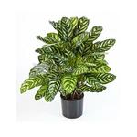 Kunstplant Citrus mandarine L