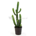 Kunstplant Finger cactus M