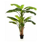Kunstplant Strelitzia L