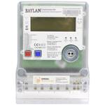 Hager kWh-meter 1-fase en 3-fasen 1 stuk(s)