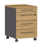 Rolcontainer Ergonoma Eiken