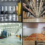 Q-Series - LED TL armatuur 120cm - IP65 Waterdicht - 36 Watt 4320 Lumen vervangt 144 Watt - 120lm/W - 4000K neutraal wit licht - gereedschaploos Koppe