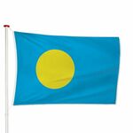 Taiwanese Vlag