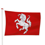 Talamex Nederlandse vlag 150x225 - Veiligheid en vlaggen