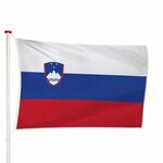 Kameroense Vlag