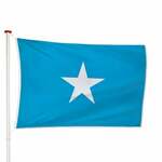 Palause Vlag