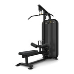 Inspire Fitness DUAL Station Lat Pull Down en Low Row