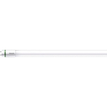 Ledlamp | Glas | Transparant | 10x10x (h)20 Cm