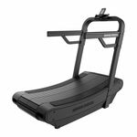 Flow Fitness DTM200i loopband